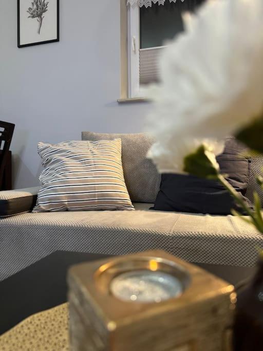 Danka 6Th Floor Chic Apartment Cracovia Exterior foto